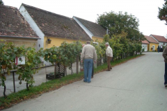 20100930-dscn0098