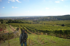 20100930-dscn0126