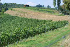 Ausflug_2021DSC_0182