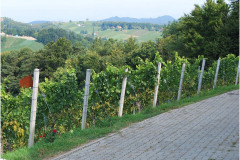 Ausflug_2021DSC_0186